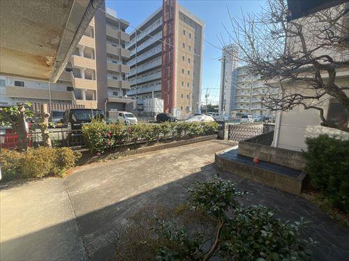 現地③　撮影日：2026年1月