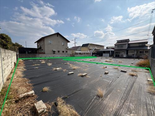 現地（2026年1月）