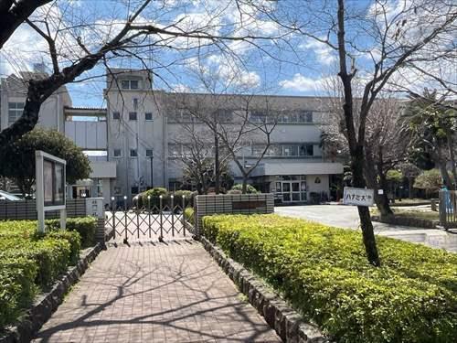 周辺施設（江南中学校）