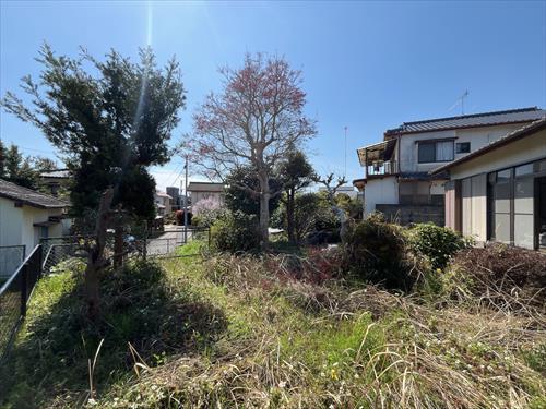 現地写真⑦　令和8年3月撮影
