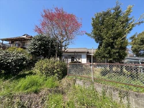 現地写真⑨　令和8年3月撮影