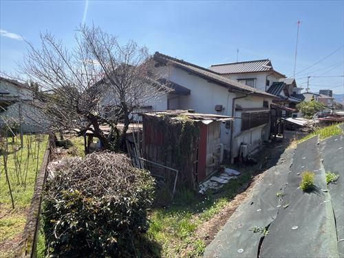 現地写真④　令和8年3月撮影