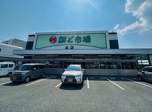 鮮ど市場本店まで3,000ｍ