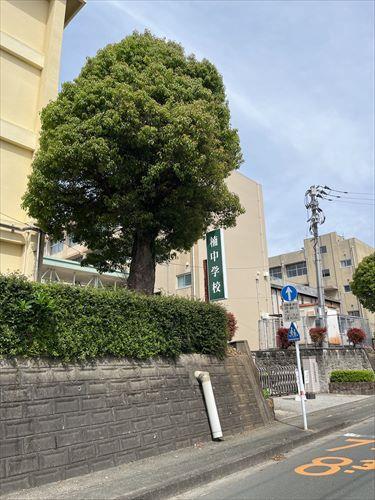 楠中学校