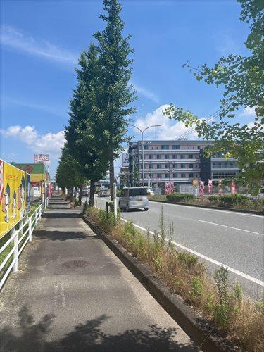 東側前面道路 2 東側前面道路 2