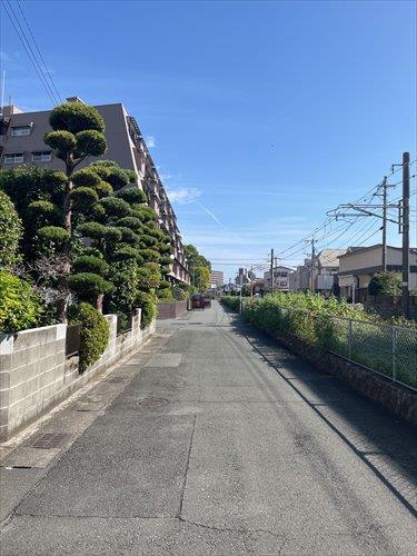 南側前面道路 1