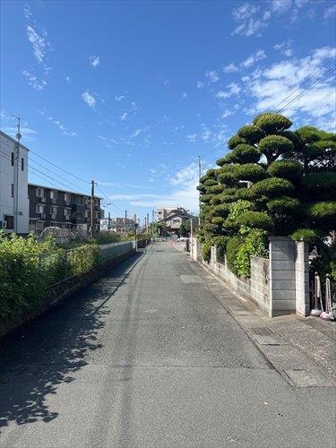 南側前面道路 2