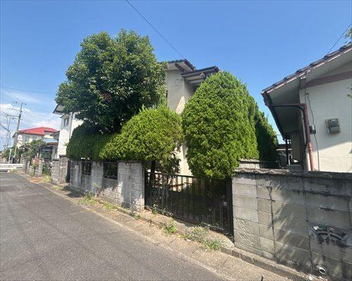 現地写真③※令和8年9月撮影