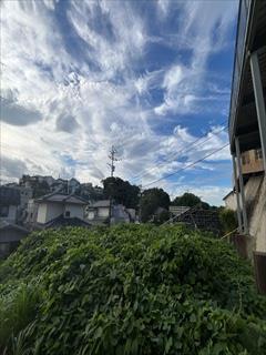 敷地内北西側　2026年7月撮影