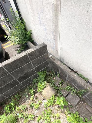 南東側境界付近