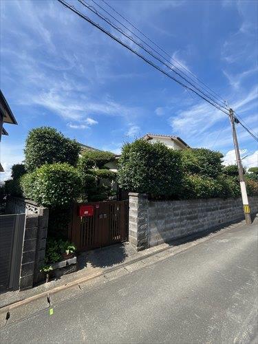 現地写真　令和8年7月撮影