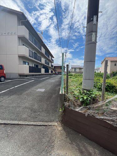 東側境界線（北から撮影）