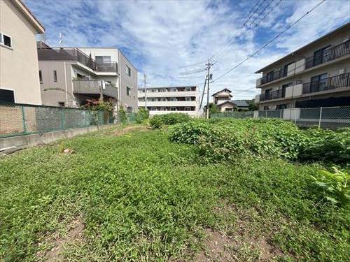 現地（南から撮影）
