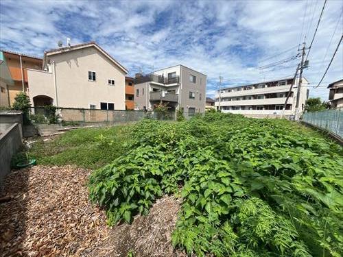 現地（南東から撮影）