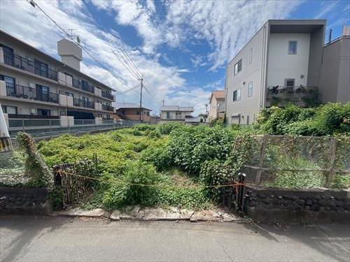 現地（北から撮影）