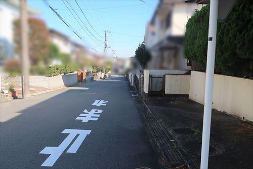 北側前面道路（2025年11月撮影）