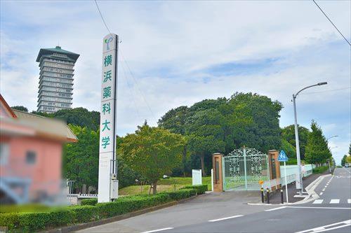 私立横浜薬科大学まで510m