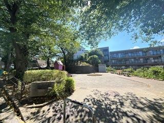 道路向かいの公園 道路向かいの公園