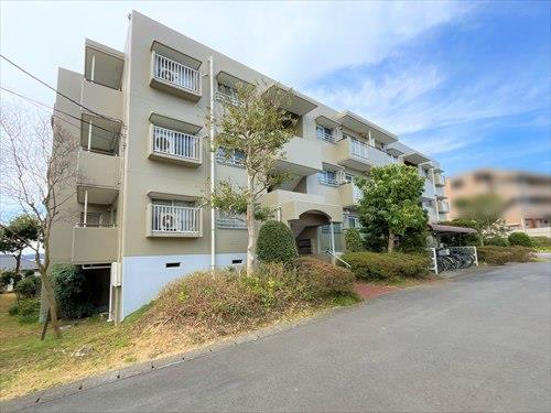 現地写真（2025.3)