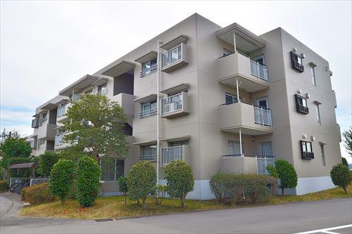 現地写真（2025.3)