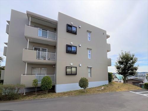 現地写真（2025.3)