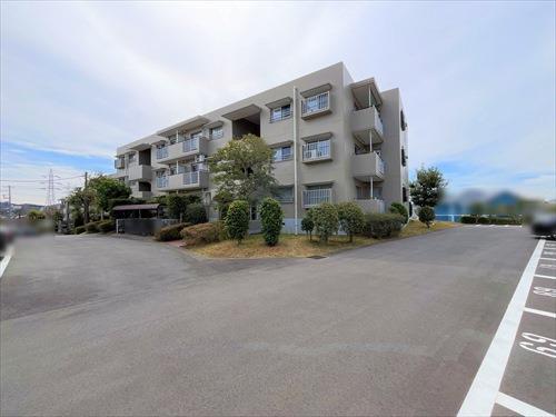 現地写真（2025.3)