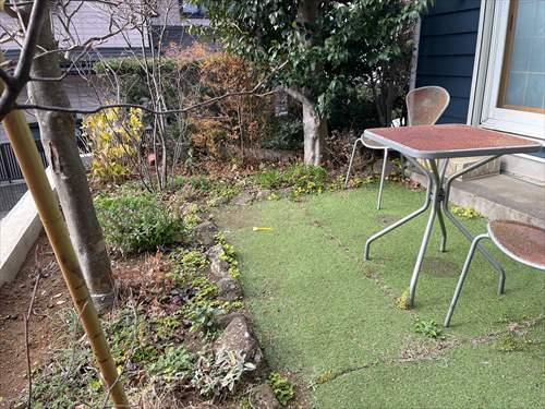 お庭（2026年1月撮影）