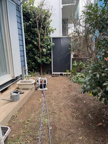 お庭（2026年1月撮影）