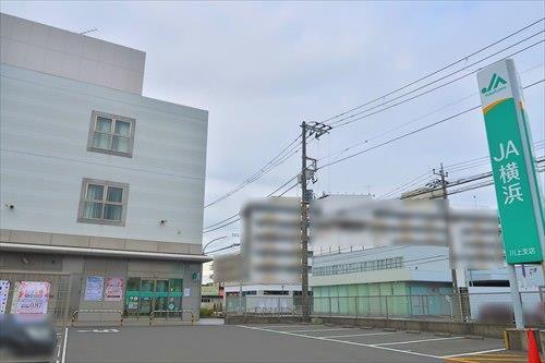 JA横浜川上支店まで1020ｍ