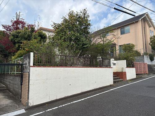 現地写真（2026.4)