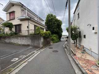 現地（2026年6月4日撮影）