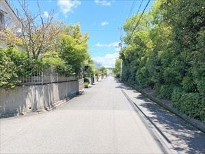 前面道路（2025年7月撮影）