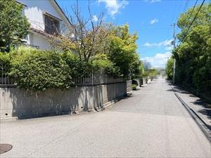 前面道路（2025年7月撮影）