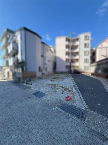 現地写真(2026年2月撮影)