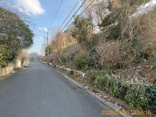 前面道路向かい緑地１(2025年1月撮影