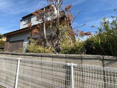 現地（2025年11月撮影）