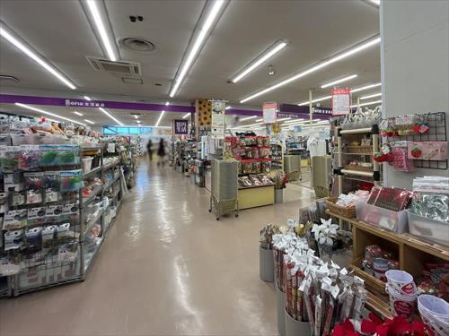 Seria北小金店 700m Seria北小金店 700m