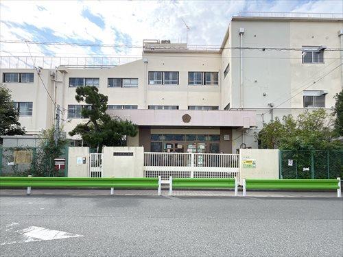 大田区千鳥小学校 500m