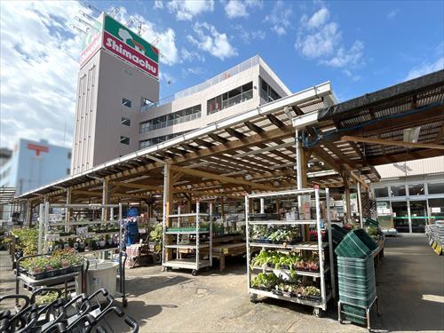 島忠大田千鳥店 320m