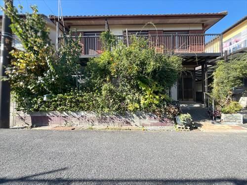 現地写真(2025年11月撮影)