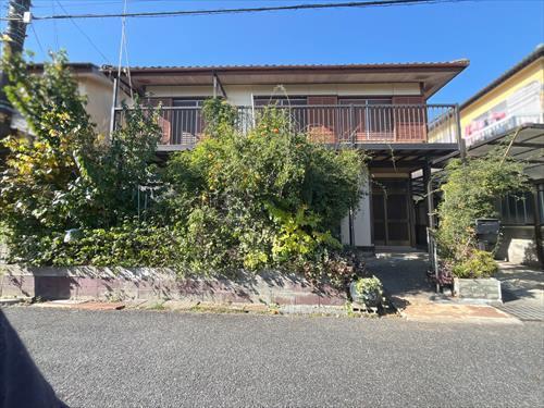 現地写真(2025年11月撮影)