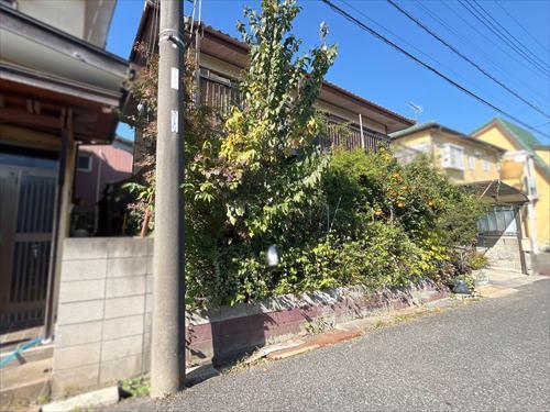 現地写真(2025年11月撮影)