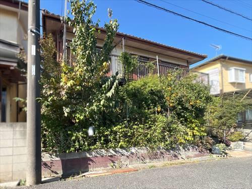 現地写真(2025年11月撮影)