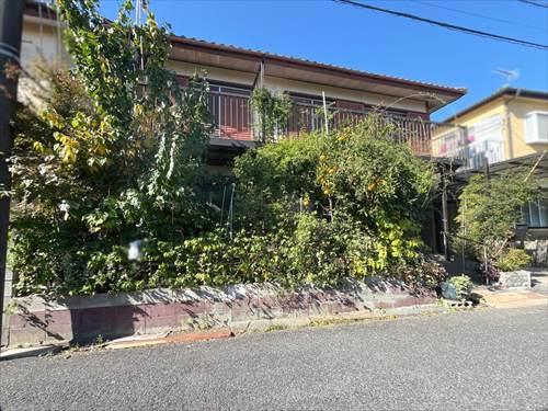 現地写真(2025年11月撮影)