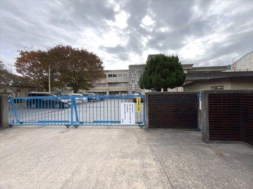 松戸市立貝の花小学校 1240m