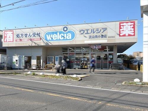 ウエルシア流山向小金店 510m