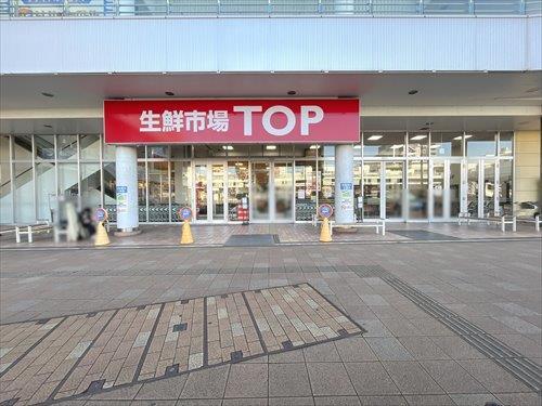 生鮮市場TOP南柏店 1300m