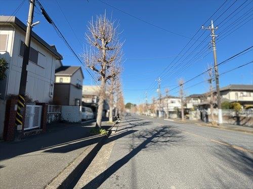 前面道路（2025年12月撮影）