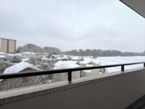 東側バルコニーからの眺望