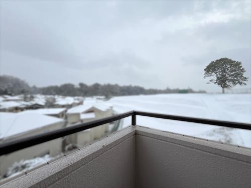 南側バルコニーからの眺望